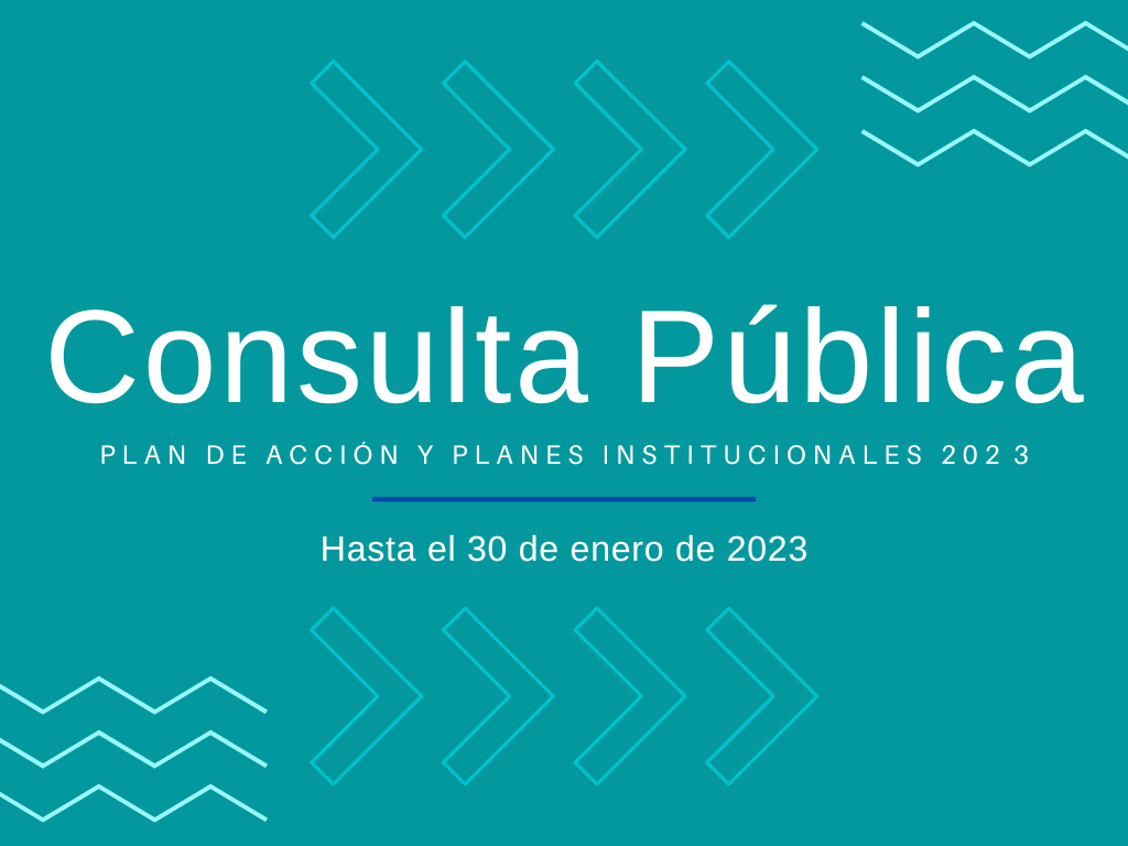 Consulta Publica