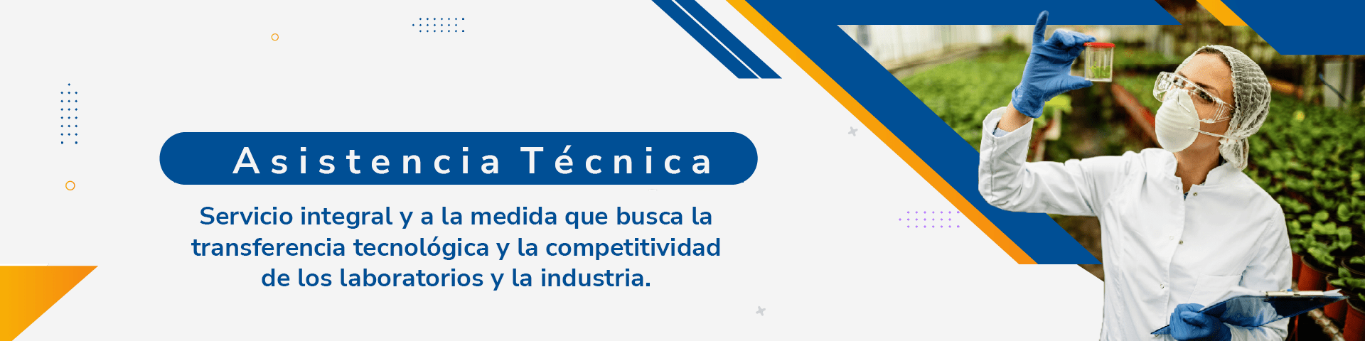 Asistencia técnica